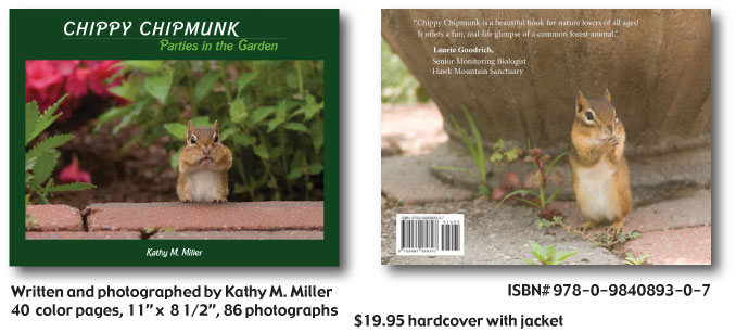 Chippy Chipmunk Front and Back Page