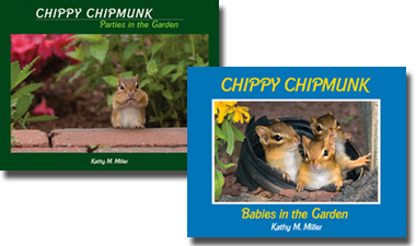 Chippy Chipmunk Rates