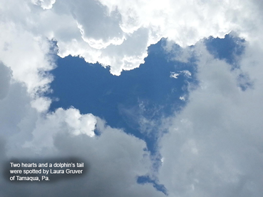 Hearts Discovered in potatoes