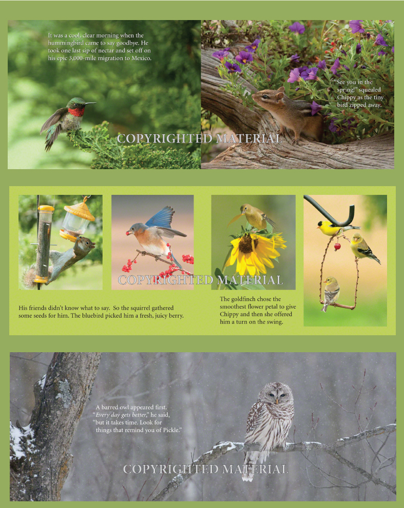 Chippy Chipmunk Babies In The Garden Preview Pages